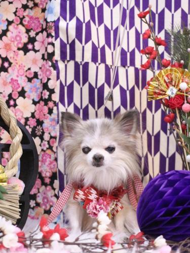 20250126クラウディアちゃん